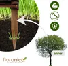 A close-up of a wooden stake in the ground, with an arrow pointing to an alder tree, and icons representing strength, durability, and protection. Produktbild-Vorschau