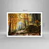Poster - Poster ohne Rahmen - Herbst berg wald natur - Produktbild-Vorschau 4