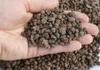 Keramzyt - 5l - 4-8mm - Ideal für Drena¿ - Natürlich und Produktbild-Vorschau 25