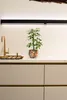 A potted plant sits on a kitchen counter next to a faucet. Voir les images du produit