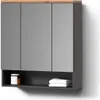 Badspiegelschrank Livinity Tanaro Anthrazit 70 x 77.5 cm, Produktbild-Vorschau 1