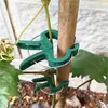 Close-up of green plant clips attached to a wooden stake, supporting a plant stem and tendril. Produktbild-Vorschau