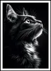Plakat 70x100cm Tierporträt für das Wohnzimmer | Katze | Produktbild-Vorschau 2