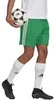 Adidas - "Squadra 21" Shorts für Herren PP2228 (L) (Grün) Produktbild-Vorschau 3