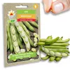 Graines potagères Fève Windsor mi-précoce Voir les images du produit 1