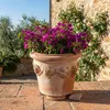 Teramico Universal Topffüße 4er Set Terracotta Frostsicher Produktbild-Vorschau 2
