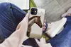 MuchoWow® Handyhülle Schutzhülle Hülle für iPhone 12 mini Produktbild-Vorschau 3