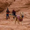 Ruffwear Hemp Hound™ Sweater Jacke, Farbe:Fired Brick, Produktbild-Vorschau 5