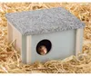 Beeztees Cico - Rongeur - bois - menthe - 15x13x9 cm Voir les images du produit 3