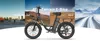 An e-bike is shown in the center, with different terrains (city road, soil, sand, snow) depicted in the background segments, illustrating its all-terrain capability. Produktbild-Vorschau