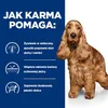 A dog is shown next to a blue panel with text and icons describing the benefits of a dog food. Produktbild-Vorschau