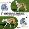 Harnais de sécurité pour chien, anti-évasion, Voir les images du produit 4