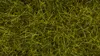NOCH 07110 - 0,H0 Wildgras XL “Wiese”, 12 mm, 40 g  - Neu Produktbild-Vorschau 4