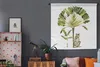 MuchoWow® Wandteppich Wandbehang Dschungel - Kakadu - Produktbild-Vorschau 5
