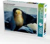CALVENDO Puzzle Küken unter der blauen Decke 1000 Teile Produktbild-Vorschau 1