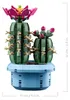 Conférence sur les plantes médicinales n° 6 Voir les images du produit 19