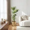Green boutiQ - Zimmerpflanze - Howea Forsteriana - Produktbild-Vorschau 4