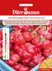 Tomatenpaprika Szuszanna | Tomatenpaprikasamen von Dürr Produktbild-Vorschau 3