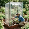 Relaxdays Gewächshaus für Tomaten 150 x 100 x 50 cm HxBxT, Produktbild-Vorschau 3