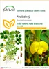 SAFLAX - Arašidový - Arachis hypogaea - 8 Semená Náhľad obrázku produktu 1