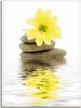 ARTland Leinwandbild Zen Spa Steine mit Blumen II Größe: Produktbild-Vorschau 1