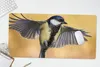 MuchoWow® Schreibtischunterlage Eine fliegende Kohlmeise Produktbild-Vorschau 5