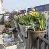 12 x Zalievacia guľa sklo zelená tyrkysová Náhľad obrázku produktu 5