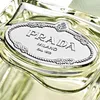 PRADA Infusion d'Iris Eau de Parfum Damen 100 ml blumiger Produktbild-Vorschau 15