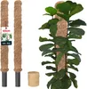 KOTARBAU® Sada 2 ks mechových tyčí pro monstery ⌀ 3,2 x 60 Náhled obrázku produktu 1
