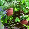 Two hanging flower pots with plants are shown outdoors, surrounded by green leaves and vines. Produktbild-Vorschau