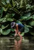 A person is in shallow water, bending down to place a water purifier into the water, with large green leaves in the background. Podgląd zdjęcia produktu