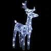 A lit-up reindeer decoration against a black background. Podgląd zdjęcia produktu