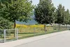 A metal fence with a gate is shown along a sidewalk, with trees and a building in the background. Produktbild-Vorschau