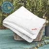 Paradies Amera Bio sommerleicht Bettdecke 135x200 cm Produktbild-Vorschau 2