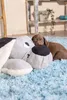 Beeztees Welpen Hundespielzeug Boomba XL 70 x 40 cm grau Produktbild-Vorschau 5