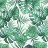 A seamless pattern of various green tropical leaves against a white background. Produktbild-Vorschau