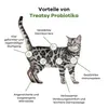 Treatsy Probiotika für Katzen – 120 Kau-Snacks mit Produktbild-Vorschau 3