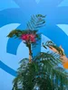 Sunny Tree - Seidenbaum - Albizia Julibrissin 'Ombrella' - Produktbild-Vorschau 5
