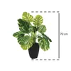 Umělá rostlina MONSTERA, 70 cm Náhled obrázku produktu 9