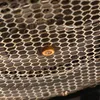 Close-up of a mesh grill with a gold-colored screw fitting. Podgląd zdjęcia produktu