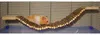 Kerbl Nature 59x7cm Hamsterbrücke Golden  Golden One Size Produktbild-Vorschau 4