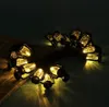 Lichterkette, dekorative LED-Lampen, 10 Stück, Produktbild-Vorschau 5