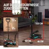 Hop-Sport Stepper HS-055S Noble, swing stepper s LCD Náhled obrázku produktu 6