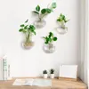 Omgoods - Set van 2 Glazen Wandplanten met Hydroponische Productafbeelding-voorbeeld 2