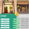 Comparison of two plant grow lights, highlighting features and specifications. Anteprima dell’immagine prodotto