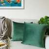 Lionmood Premium Samt Kissenbezug Grün 50x50cm -1er- Velvet Produktbild-Vorschau 2