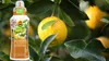 Mittelmeerdünger 0,5 l - Hochwertig - Nährstoffreich - Für Produktbild-Vorschau 7