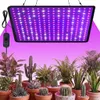 A grow light illuminates a collection of potted plants, including succulents and ferns. Náhľad obrázku produktu