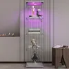 Vitrina expositora de vidrio con iluminación LED y puertas Vista previa de la imagen del producto 5