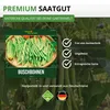 Buschbohnen Saxa Samen - Phaseolus vulgaris  - Bohnensamen Produktbild-Vorschau 8